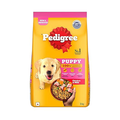 Pedigree puppy