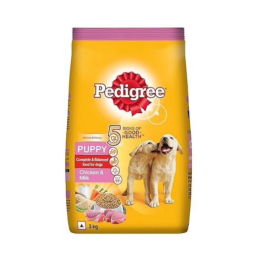 Pedigree puppy