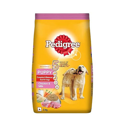 Pedigree puppy