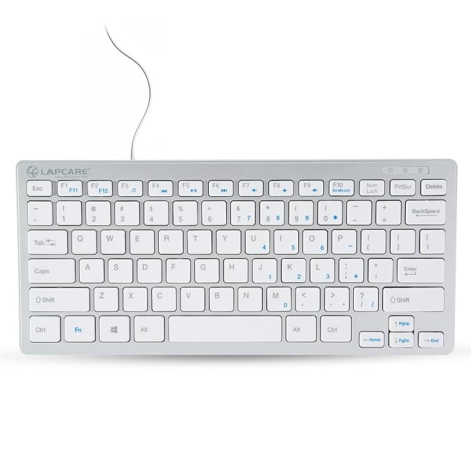 Lapcare D-Lite Plus Wired Mini Keyboard with Chocolate Keys (Silver)